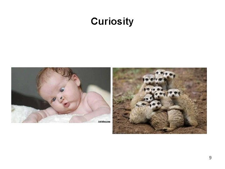 Curiosity 9 