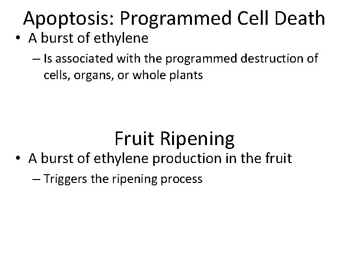 Apoptosis: Programmed Cell Death • A burst of ethylene – Is associated with the