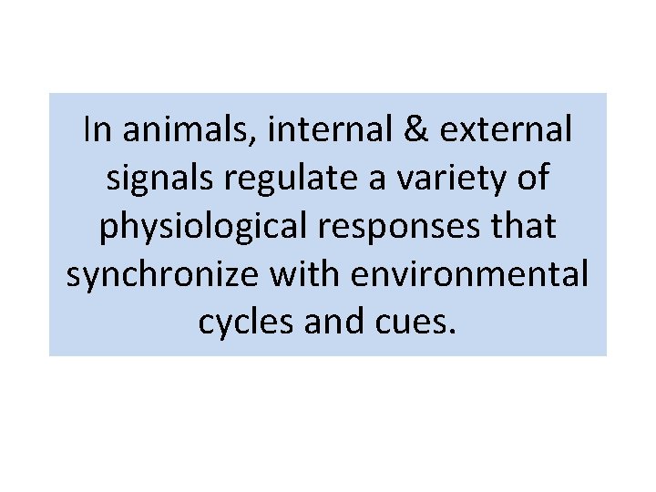 In animals, internal & external signals regulate a variety of physiological responses that synchronize