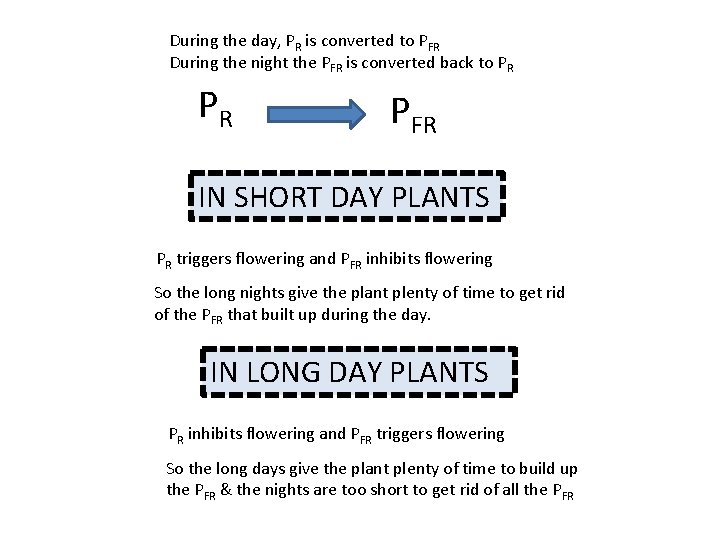 During the day, PR is converted to PFR During the night the PFR is