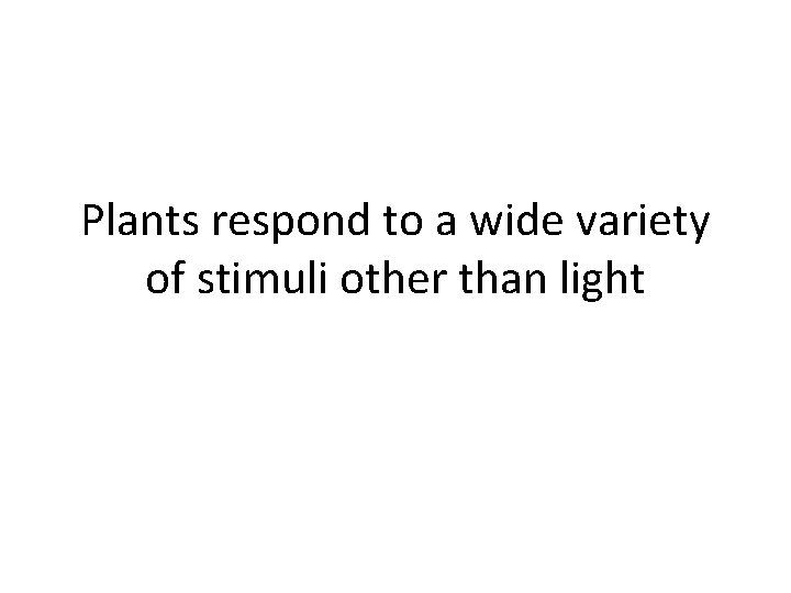 Plants respond to a wide variety of stimuli other than light  Plants respond to a wide variety of stimuli other than light