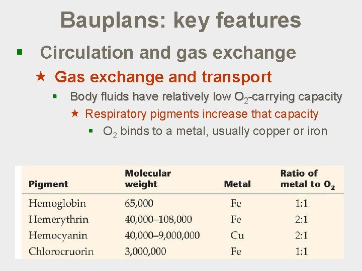 Bauplans: key features § Circulation and gas exchange « Gas exchange and transport §