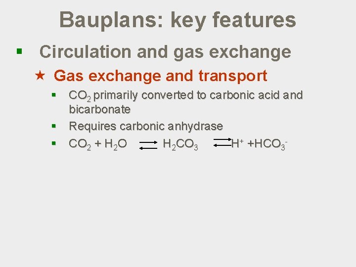 Bauplans: key features § Circulation and gas exchange « Gas exchange and transport §