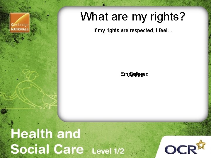 What are my rights? If my rights are respected, I feel… Empowered Safe Valued