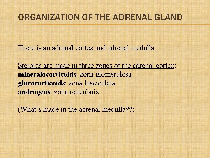 ORGANIZATION OF THE ADRENAL GLAND There is an adrenal cortex and adrenal medulla. Steroids