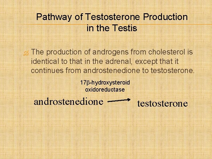 Pathway of Testosterone Production in the Testis The production of androgens from cholesterol is