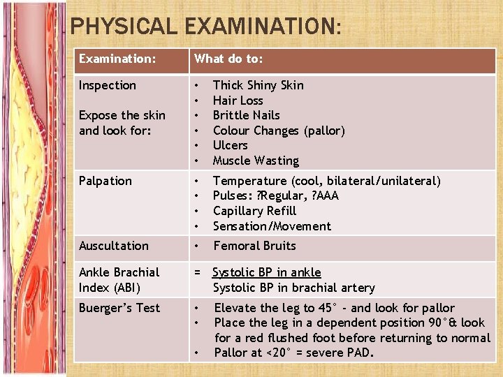 PHYSICAL EXAMINATION: Examination: What do to: Inspection • • • Thick Shiny Skin Hair