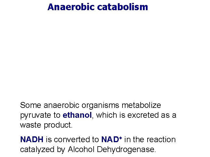 Anaerobic catabolism Some anaerobic organisms metabolize pyruvate to ethanol, which is excreted as a
