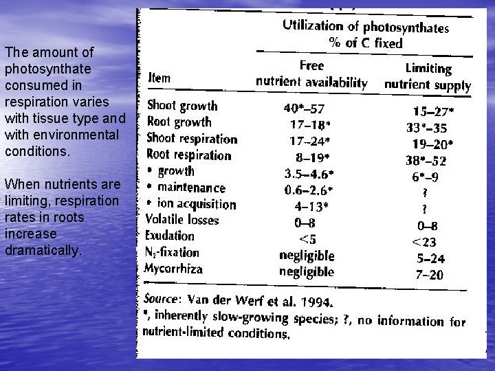 The amount of photosynthate consumed in respiration varies with tissue type and with environmental