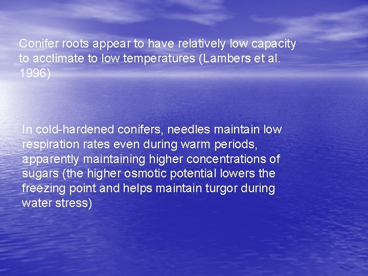 Conifer roots appear to have relatively low capacity to acclimate to low temperatures (Lambers
