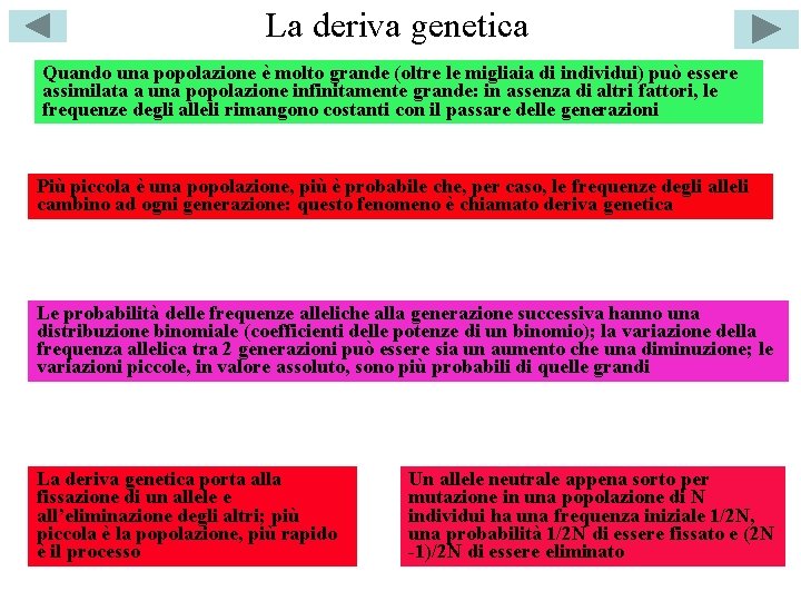 La deriva genetica Quando una popolazione è molto grande (oltre le migliaia di individui)