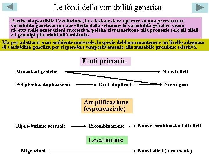 Le fonti della variabilità genetica Perché sia possibile l’evoluzione, la selezione deve operare su
