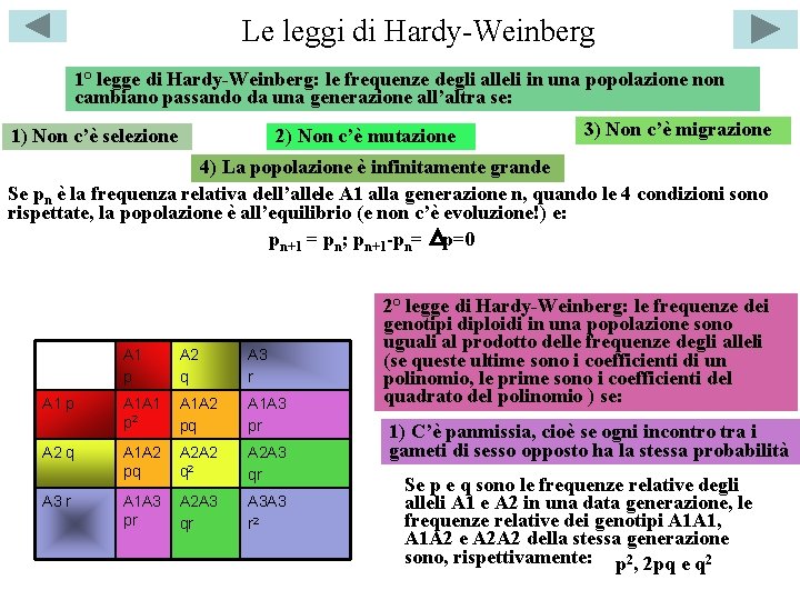 Le leggi di Hardy-Weinberg 1° legge di Hardy-Weinberg: le frequenze degli alleli in una