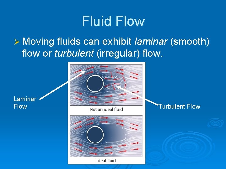 Fluid Flow Ø Moving fluids can exhibit laminar (smooth) flow or turbulent (irregular) flow.