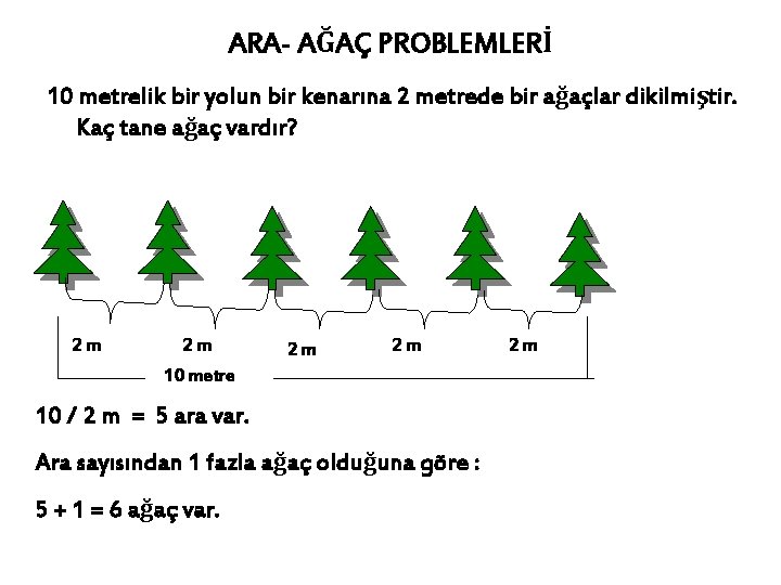 ARA- AĞAÇ PROBLEMLERİ 10 metrelik bir yolun bir kenarına 2 metrede bir ağaçlar dikilmiştir.