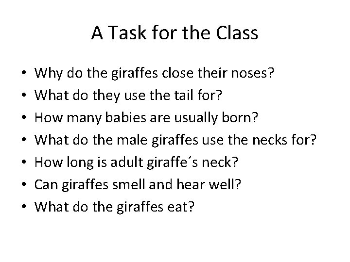 A Task for the Class • • Why do the giraffes close their noses?