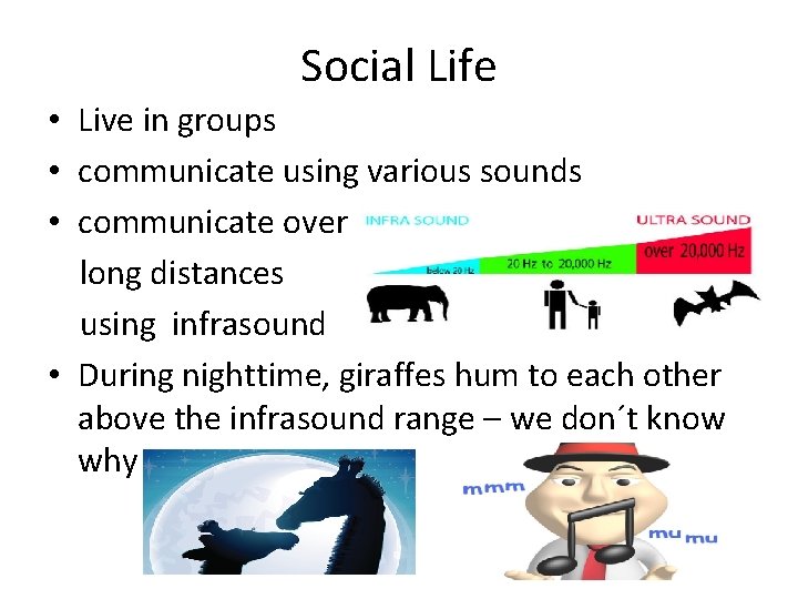 Social Life • Live in groups • communicate using various sounds • communicate over