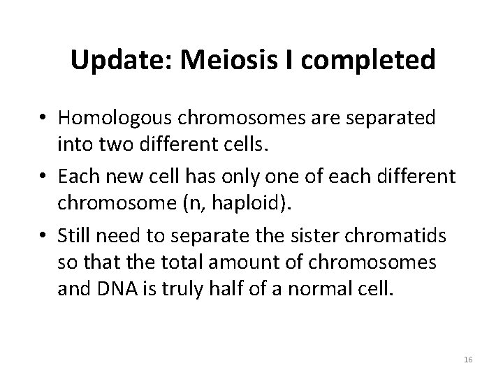 Update: Meiosis I completed • Homologous chromosomes are separated into two different cells. •