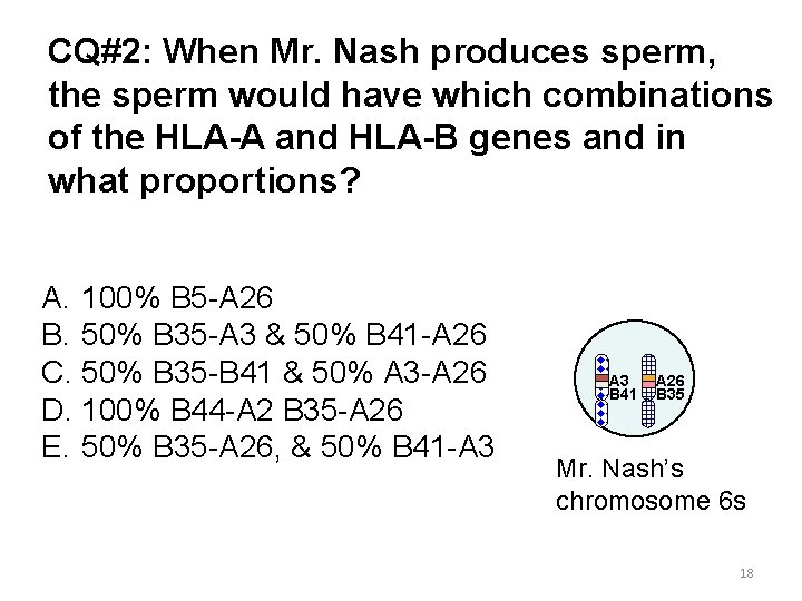 CQ#2: When Mr. Nash produces sperm, the sperm would have which combinations of the