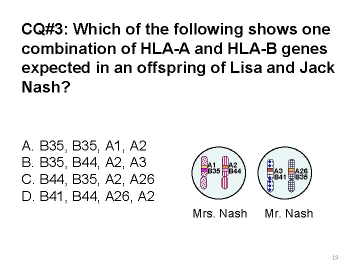 CQ#3: Which of the following shows one combination of HLA-A and HLA-B genes expected