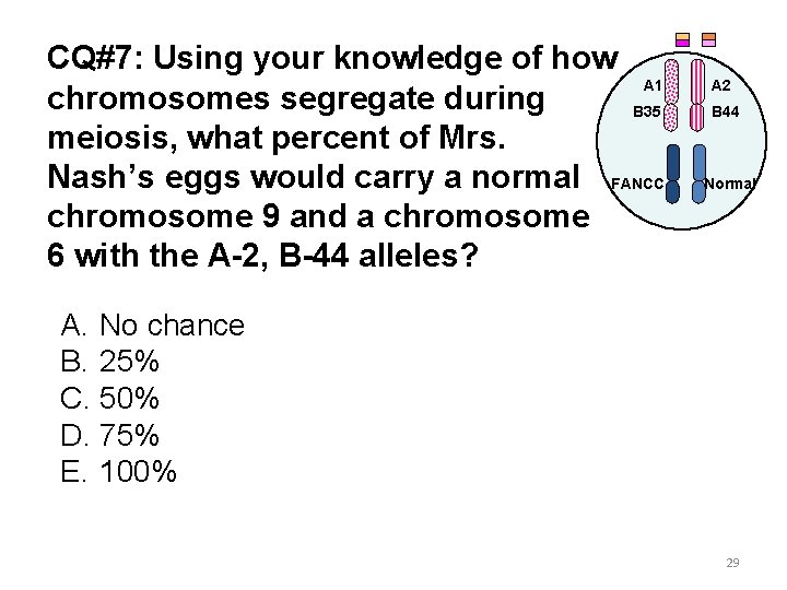 CQ#7: Using your knowledge of how A 1 chromosomes segregate during B 35 meiosis,