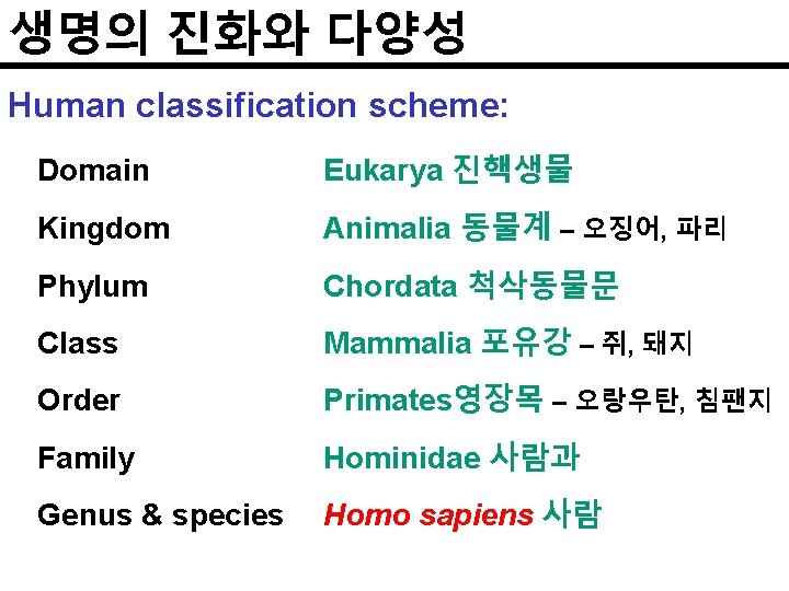 생명의 진화와 다양성 Human classification scheme: Domain Eukarya 진핵생물 Kingdom Animalia 동물계 – 오징어,