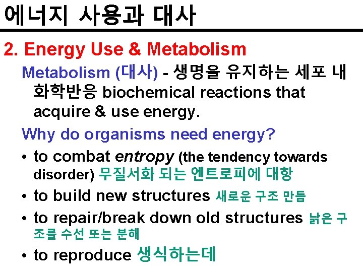 에너지 사용과 대사 2. Energy Use & Metabolism (대사) - 생명을 유지하는 세포 내