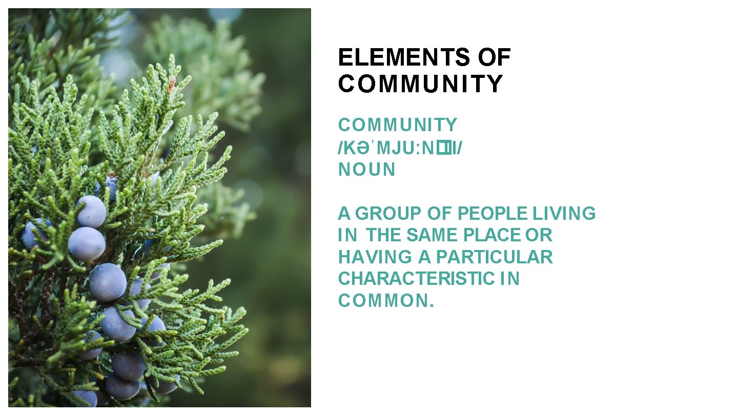 ELEMENTS OF COMMUNITY /KƏˈMJUːN� TI/ NOUN A GROUP OF PEOPLE LIVING IN THE SAME