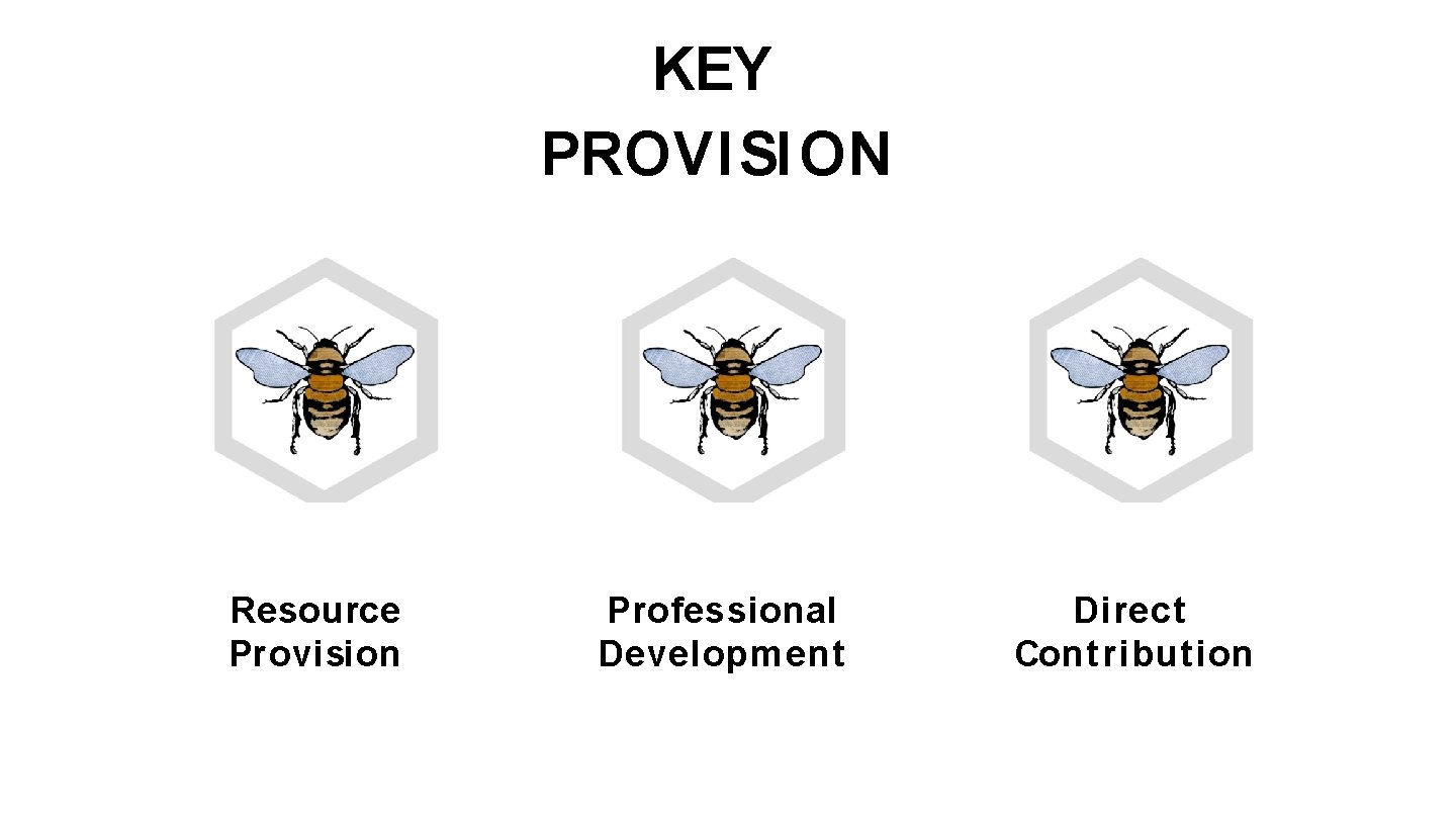 KEY PROVISION Resource Provision Professional Developm ent Direct Cont ribut ion 