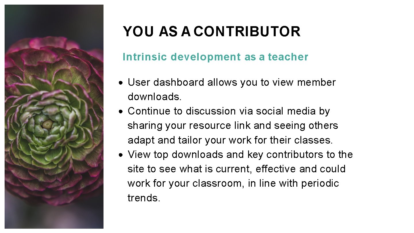 YOU AS A CONTRIBUTOR Intrinsic development as a teacher User dashboard allows you to