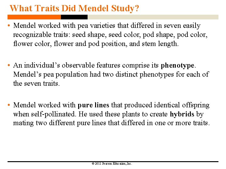 What Traits Did Mendel Study? • Mendel worked with pea varieties that differed in