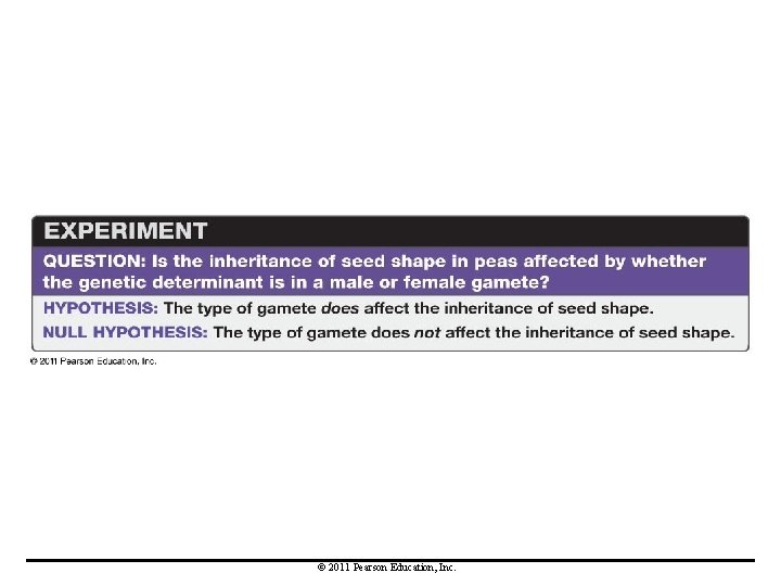 © 2011 Pearson Education, Inc. 