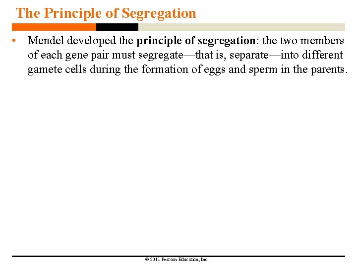 The Principle of Segregation • Mendel developed the principle of segregation: the two members