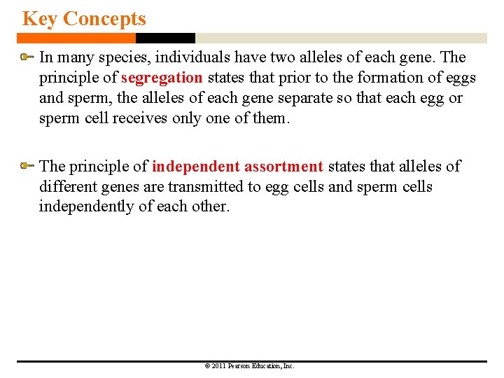 Key Concepts In many species, individuals have two alleles of each gene. The principle