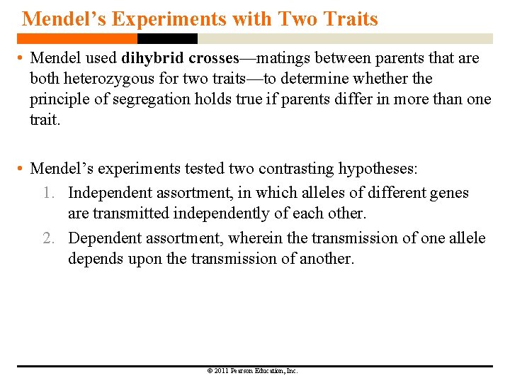 Mendel’s Experiments with Two Traits • Mendel used dihybrid crosses—matings between parents that are