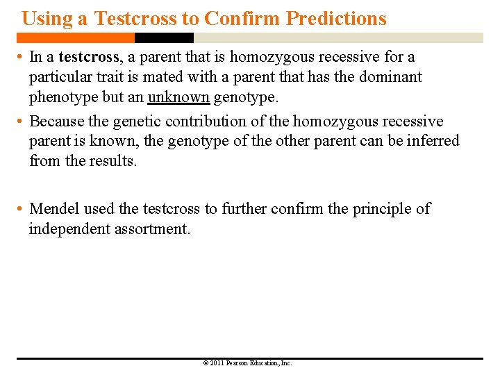 Using a Testcross to Confirm Predictions • In a testcross, a parent that is