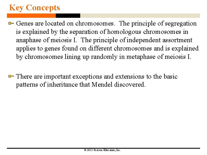Key Concepts Genes are located on chromosomes. The principle of segregation is explained by