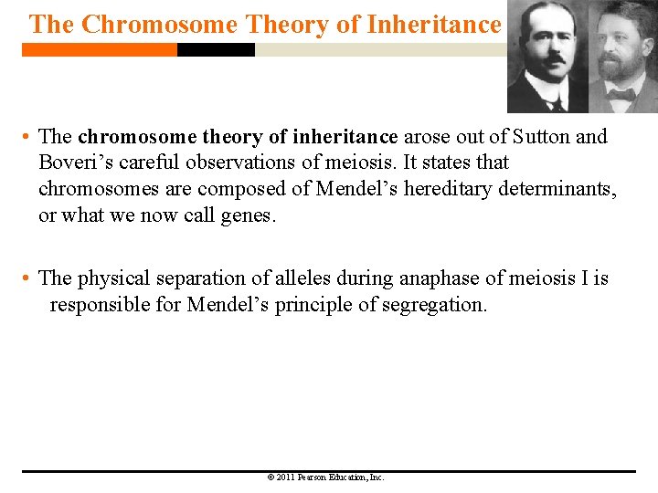 The Chromosome Theory of Inheritance • The chromosome theory of inheritance arose out of