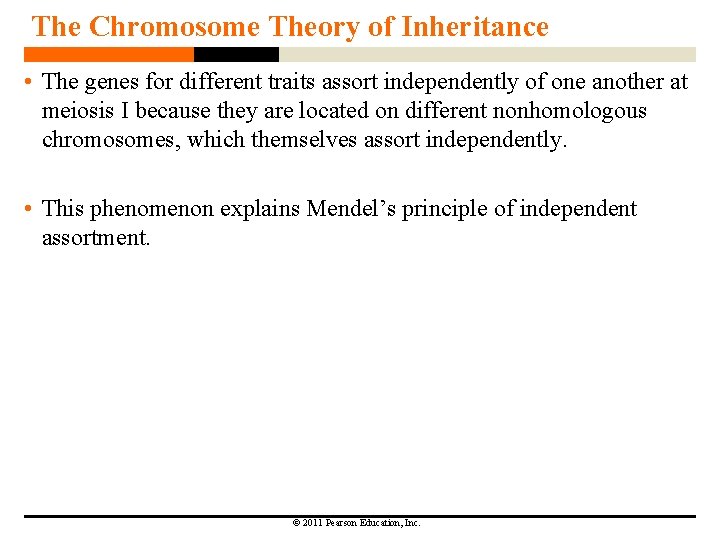 The Chromosome Theory of Inheritance • The genes for different traits assort independently of