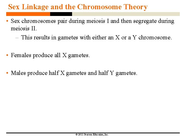 Sex Linkage and the Chromosome Theory • Sex chromosomes pair during meiosis I and