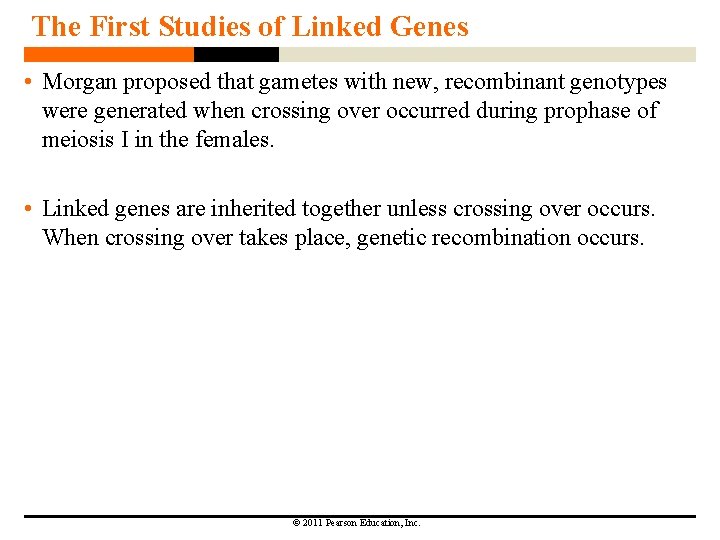 The First Studies of Linked Genes • Morgan proposed that gametes with new, recombinant