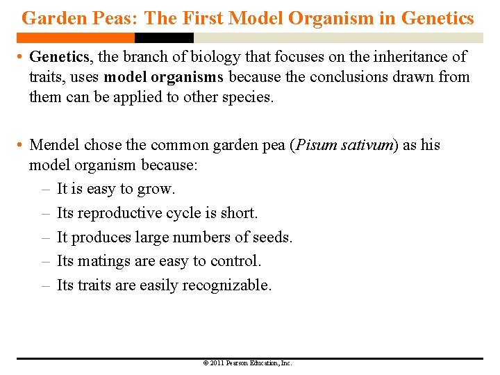 Garden Peas: The First Model Organism in Genetics • Genetics, the branch of biology