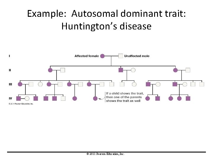 Example: Autosomal dominant trait: Huntington’s disease © 2011 Pearson Education, Inc. 
