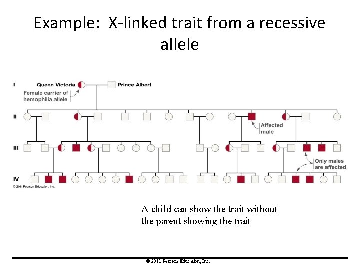 Example: X-linked trait from a recessive allele A child can show the trait without