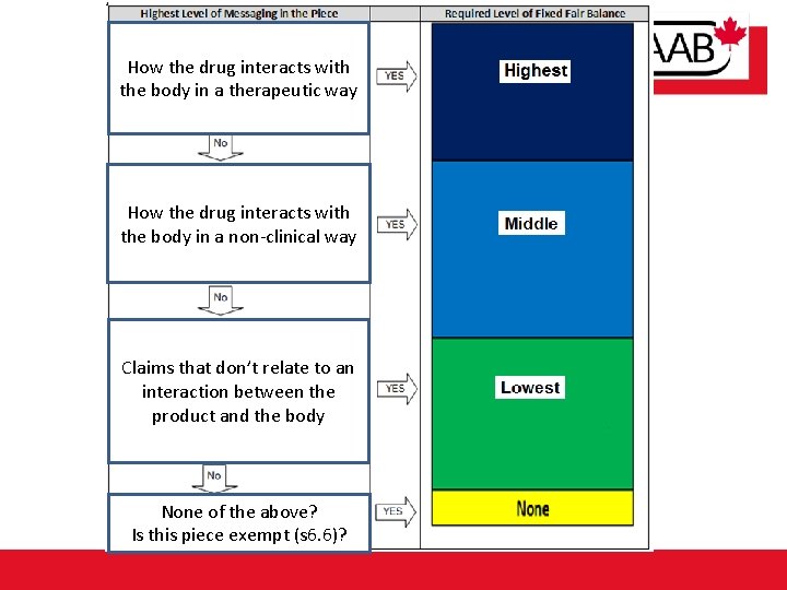 How the drug interacts with the body in a therapeutic way How the drug