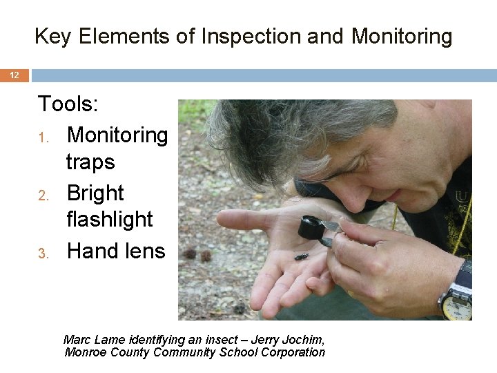 2. Key Elements of Inspection and Monitoring 12 Tools: 1. Monitoring traps 2. Bright