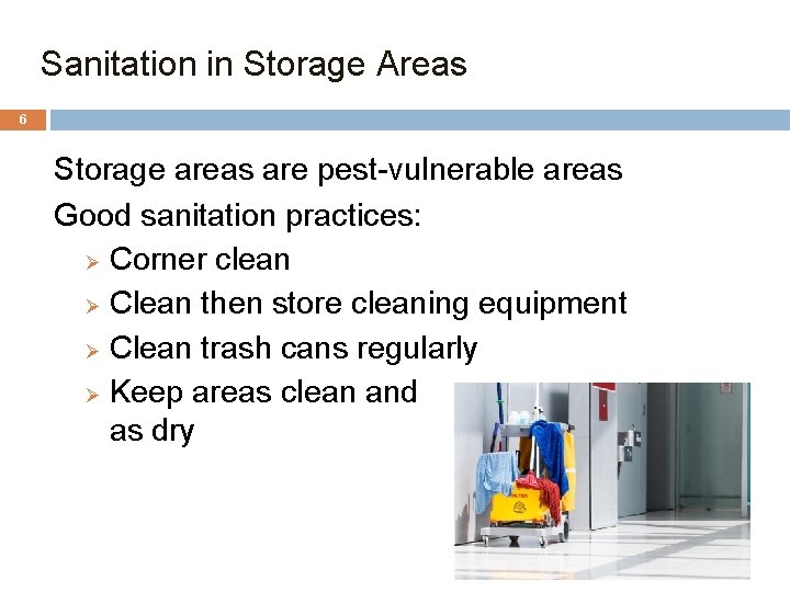 Sanitation in Storage Areas 6 Storage areas are pest-vulnerable areas Good sanitation practices: Ø