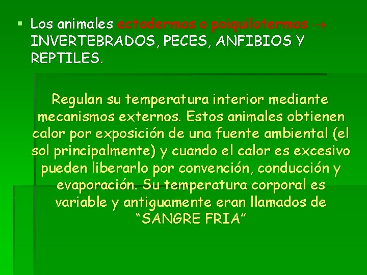 § Los animales ectodermos o poiquilotermos INVERTEBRADOS, PECES, ANFIBIOS Y REPTILES. Regulan su temperatura