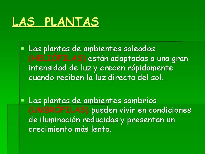 LAS PLANTAS § Las plantas de ambientes soleados (HELIÓFILAS) están adaptadas a una gran