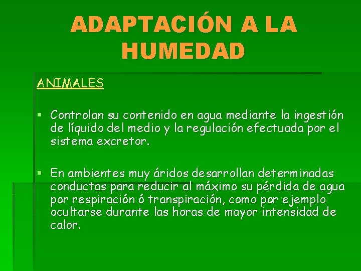 ADAPTACIÓN A LA HUMEDAD ANIMALES § Controlan su contenido en agua mediante la ingestión